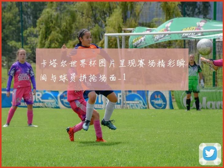 卡塔尔世界杯图片呈现赛场精彩瞬间与球员拼抢场面_1