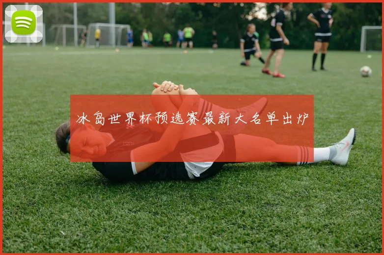 冰岛世界杯预选赛最新大名单出炉